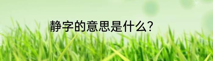 静字的意思是什么？