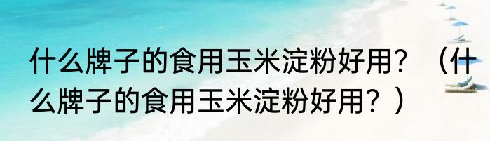 什么牌子的食用玉米淀粉好用？（什么牌子的食用玉米淀粉好用？）