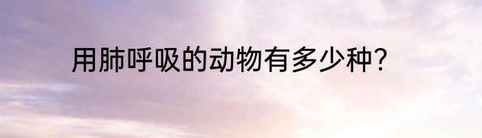 用肺呼吸的动物有多少种？