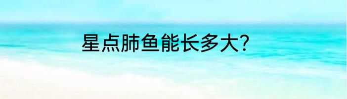 星点肺鱼能长多大？