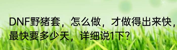 DNF野猪套，怎么做，才做得出来快，最快要多少天，详细说1下？