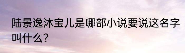 陆景逸沐宝儿是哪部小说要说这名字叫什么？