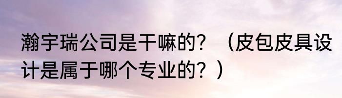 瀚宇瑞公司是干嘛的?(皮包皮具设计是属于哪个专业的?)