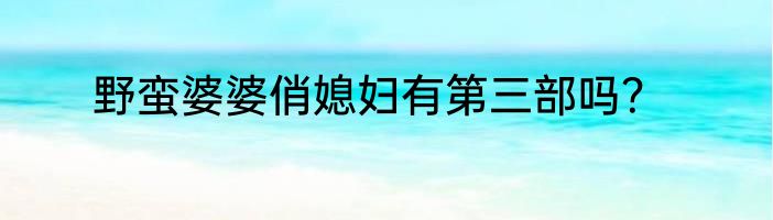 野蛮婆婆俏媳妇有第三部吗？