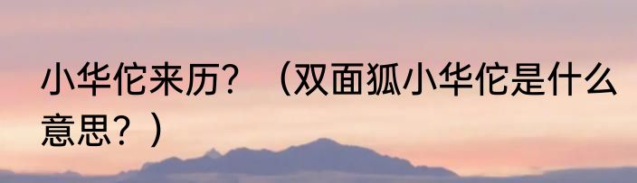 小华佗来历？（双面狐小华佗是什么意思？）