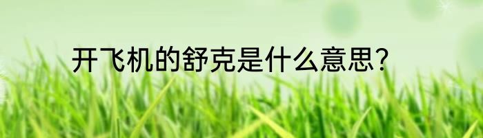 开飞机的舒克是什么意思？