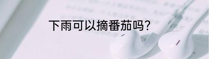 下雨可以摘番茄吗？