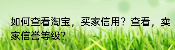 如何查看淘宝，买家信用？查看，卖家信誉等级？