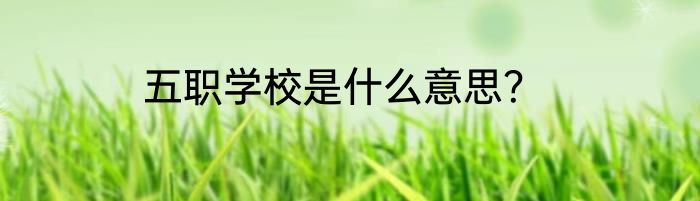 五职学校是什么意思？