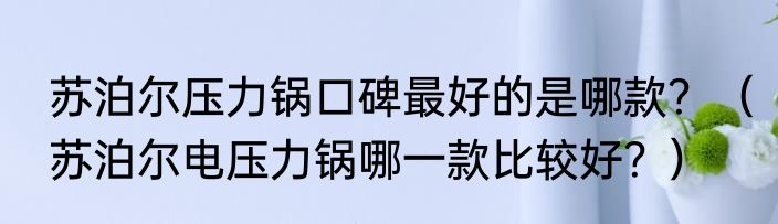苏泊尔压力锅口碑最好的是哪款？（苏泊尔电压力锅哪一款比较好？）