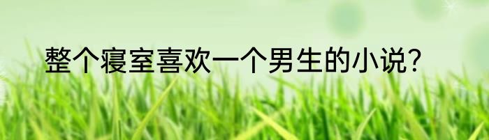 整个寝室喜欢一个男生的小说？