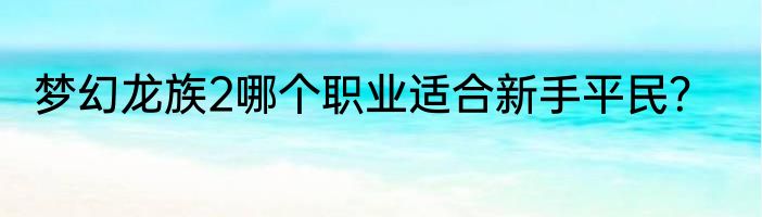 梦幻龙族2哪个职业适合新手平民？