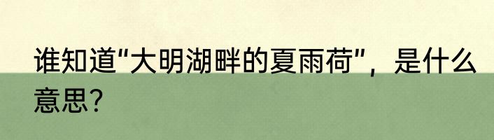 谁知道“大明湖畔的夏雨荷”，是什么意思？