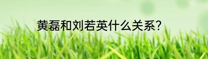 黄磊和刘若英什么关系？