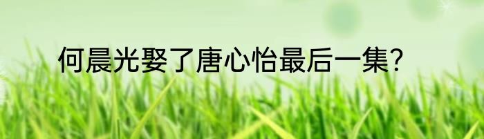 何晨光娶了唐心怡最后一集？