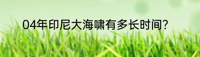 04年印尼大海啸有多长时间？