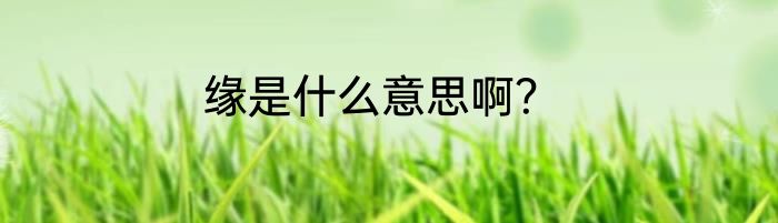 缘是什么意思啊？