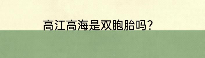 高江高海是双胞胎吗？