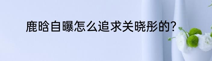鹿晗自曝怎么追求关晓彤的？