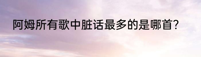 阿姆所有歌中脏话最多的是哪首？