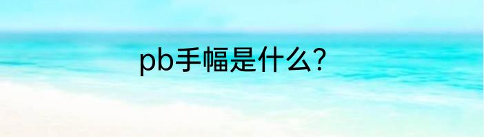 pb手幅是什么？