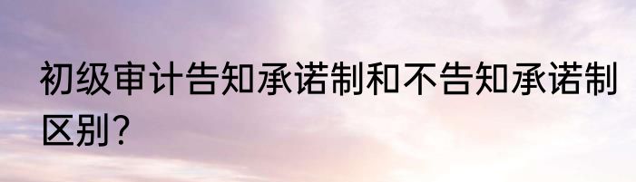初级审计告知承诺制和不告知承诺制区别？