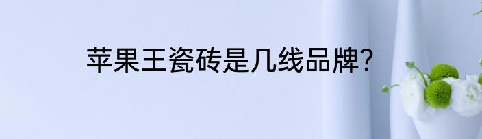 苹果王瓷砖是几线品牌？