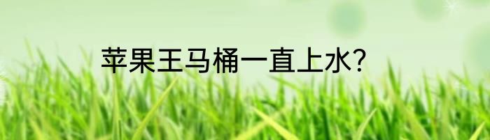 苹果王马桶一直上水？