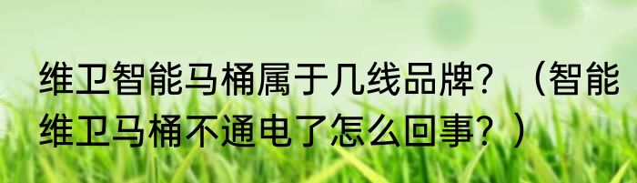 维卫智能马桶属于几线品牌？（智能维卫马桶不通电了怎么回事？）