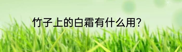 竹子上的白霜有什么用？