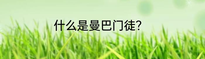 什么是曼巴门徒？