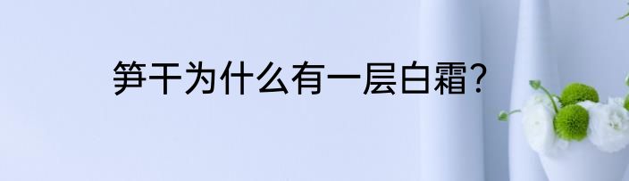 笋干为什么有一层白霜？