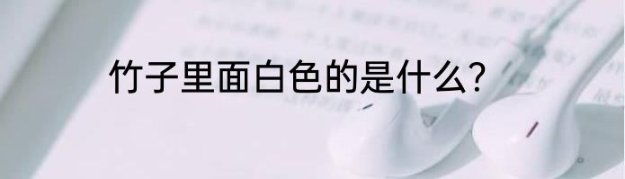 竹子里面白色的是什么？