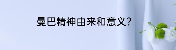 曼巴精神由来和意义？