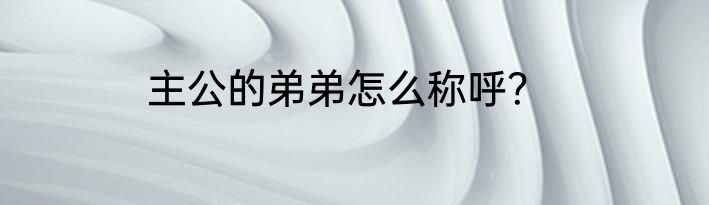 主公的弟弟怎么称呼？