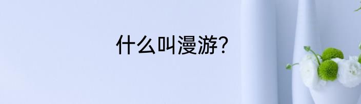 什么叫漫游？