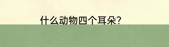什么动物四个耳朵？