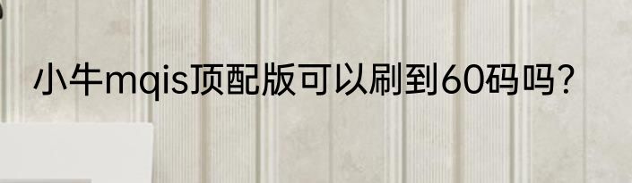 小牛mqis顶配版可以刷到60码吗？