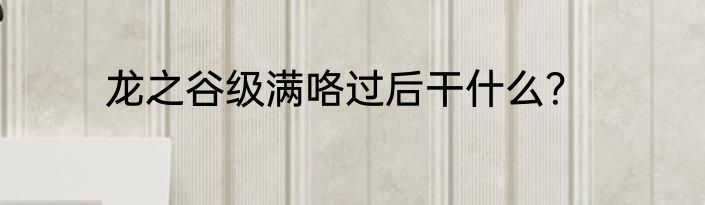 龙之谷级满咯过后干什么？