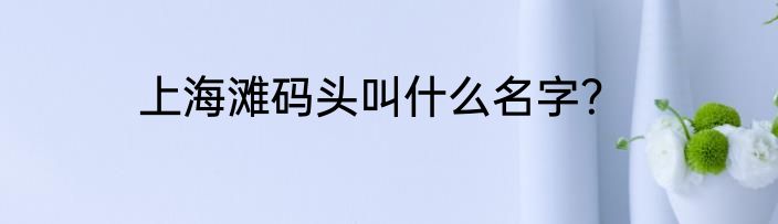 上海滩码头叫什么名字？