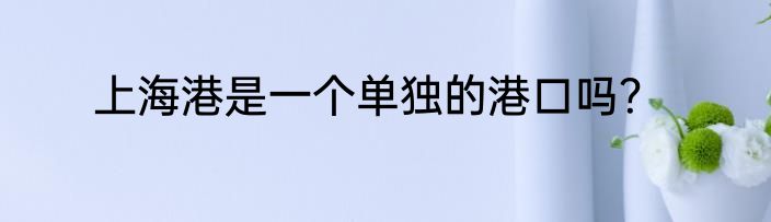 上海港是一个单独的港口吗？