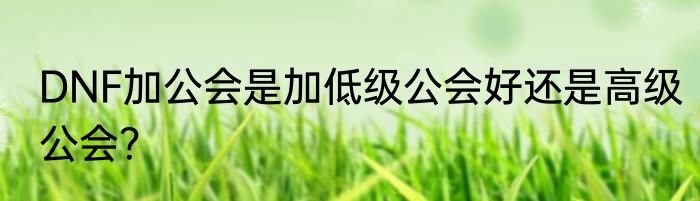 DNF加公会是加低级公会好还是高级公会？