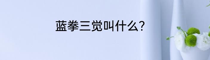 蓝拳三觉叫什么？