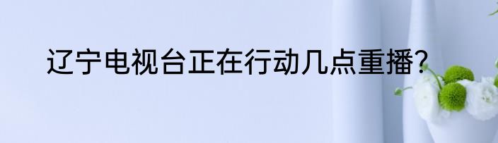 辽宁电视台正在行动几点重播？