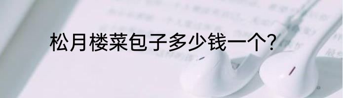 松月楼菜包子多少钱一个？