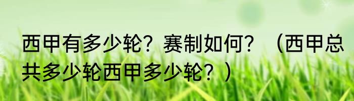 西甲有多少轮？赛制如何？（西甲总共多少轮西甲多少轮？）