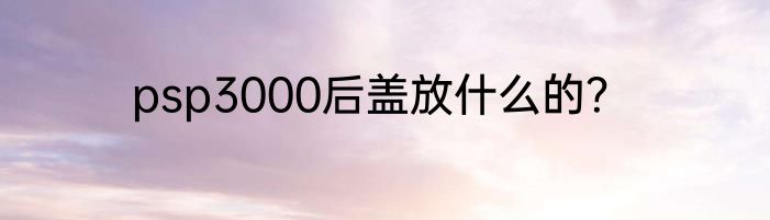 psp3000后盖放什么的？
