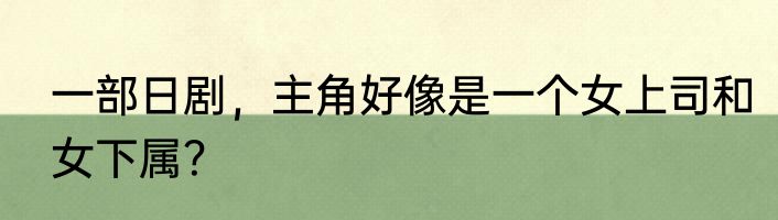 一部日剧，主角好像是一个女上司和女下属？