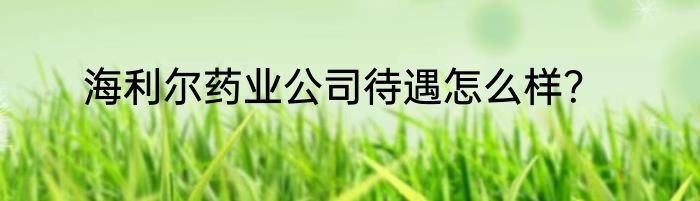 海利尔药业公司待遇怎么样？