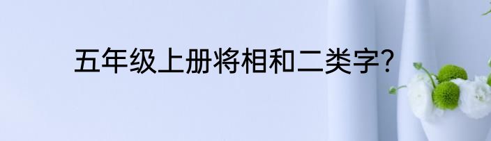 五年级上册将相和二类字？